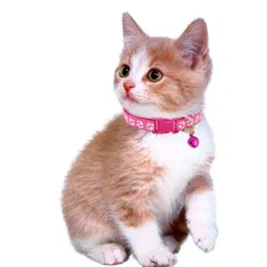Cute Paw Print Adjustable Kitten Collar Bell Tie Cat Pet Puppy Colourful 2