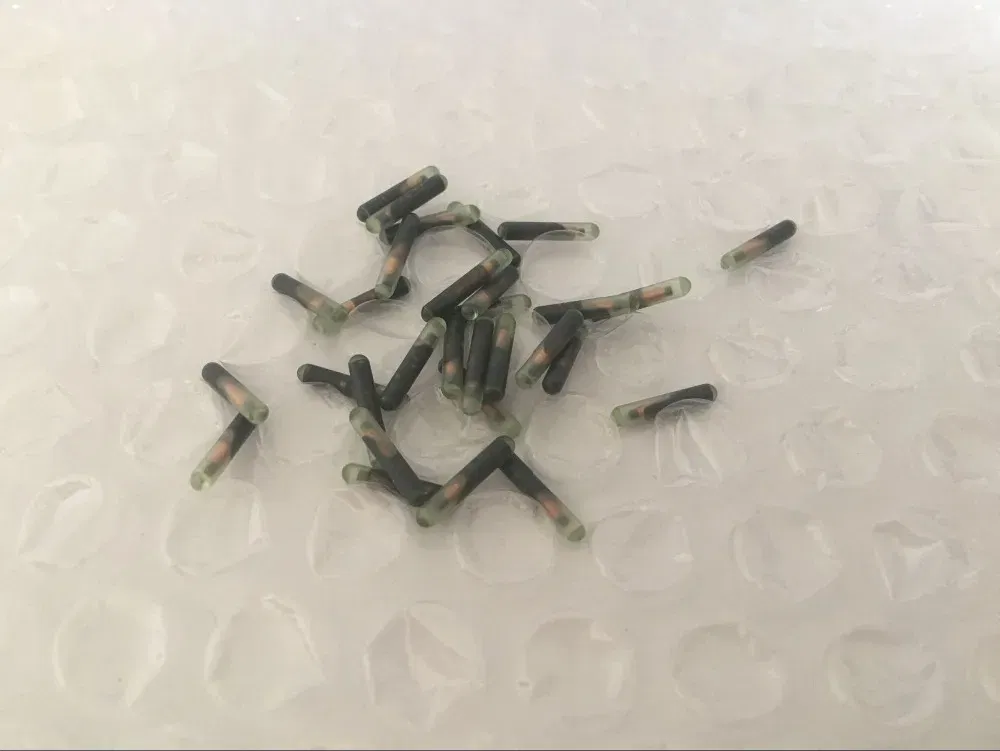 QQ图片20190815153519