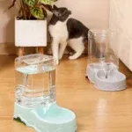 Drinking Fountain
