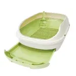 Avocado Green