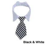 black white
