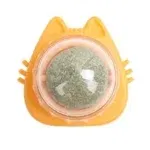 Cat Orange