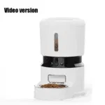 Video version