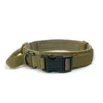 Green dog collar