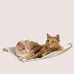 1 Cat Bed