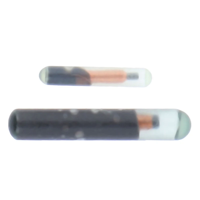 Rfid Microchip Animal Id Mini Iso Compliant Pet Cat Dog Transponder Tag With Em4305 Chip For Identification Implant 134.2Khz 10 kf S2d941d2e862746f88381ca1c98bff2fbs