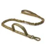 Green dog leash