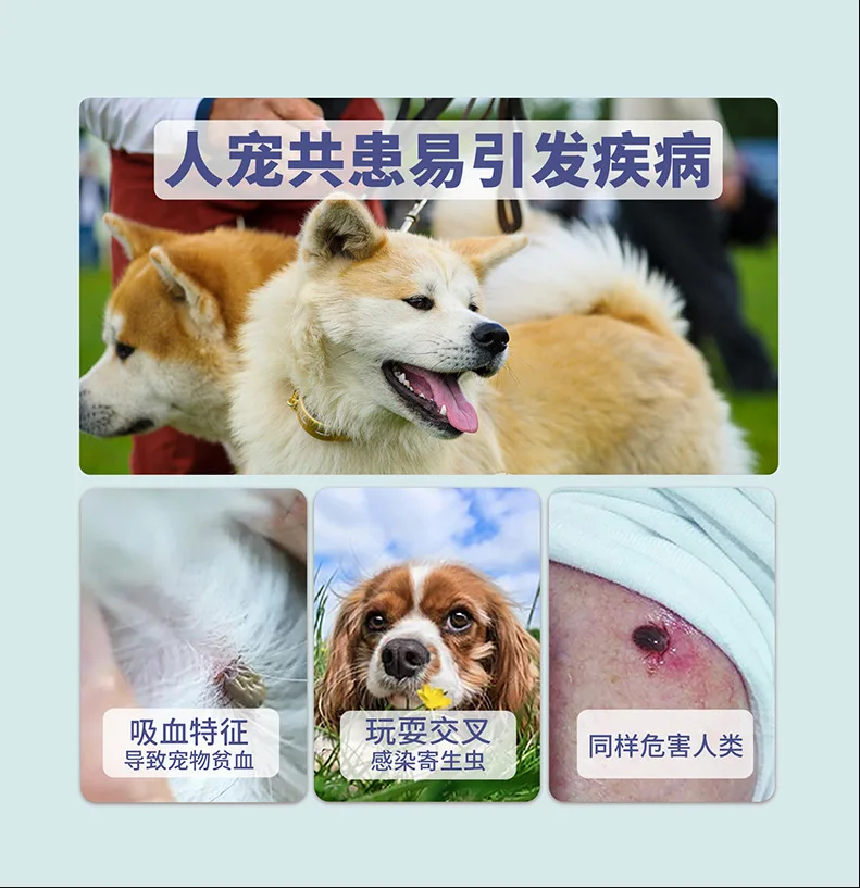 kf S4a1dea496f444f5a870245029b67f056F