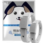 For Dogs