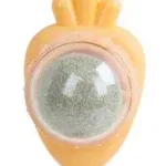 Carrot Orange