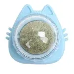 Cat Blue