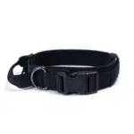 BlacK dog collar