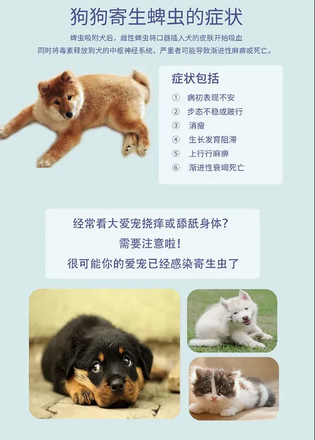 kf S72c204e6064e4ec5ab1fa248e5e941d2j