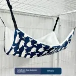 blue whale