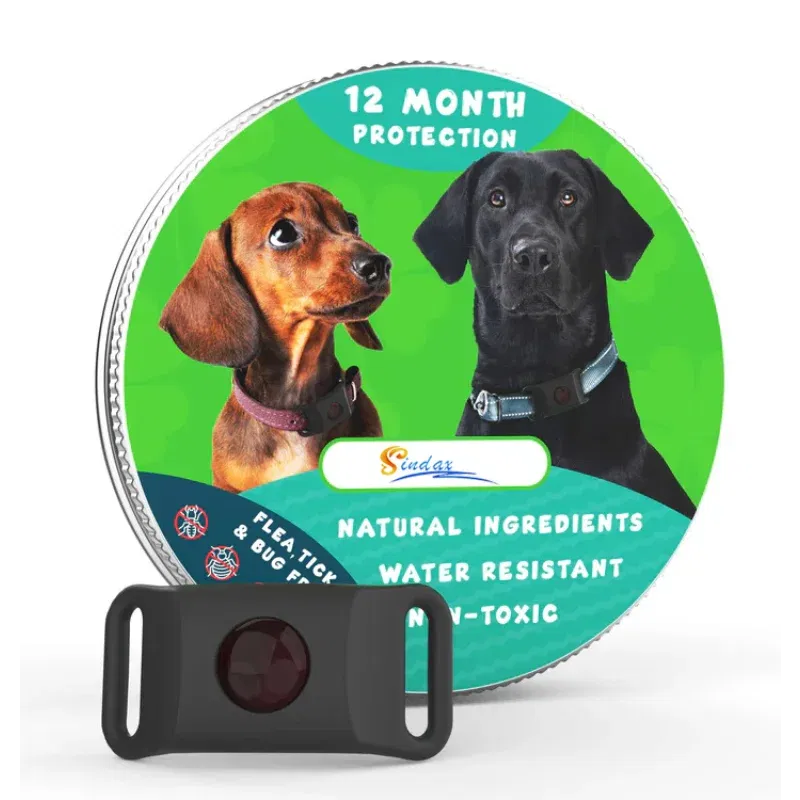 강아지Pet Flea Collars Natural Anti-Flea &Amp; Tick Pendant Oils For Dogs &Amp; Cats Collar Pet Supplies Collar Adjustable Breakaway Collar 7 kf S7517360ed2e3417fa641e6e4f157ce1am