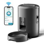 2L Black WIFi B