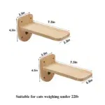 2pcs cat steps c