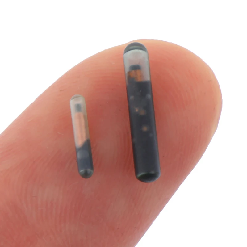 Rfid Microchip Animal Id Mini Iso Compliant Pet Cat Dog Transponder Tag With Em4305 Chip For Identification Implant 134.2Khz 8 kf S97f5384925fc4b318bf9b13cb6ff0a4ec
