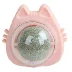Cat Pink