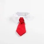 RD