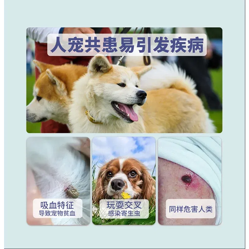 강아지Pet Flea Collars Natural Anti-Flea &Amp; Tick Pendant Oils For Dogs &Amp; Cats Collar Pet Supplies Collar Adjustable Breakaway Collar 13 kf Sd1208f2159614f23b0e20aa3e8f92ad5d