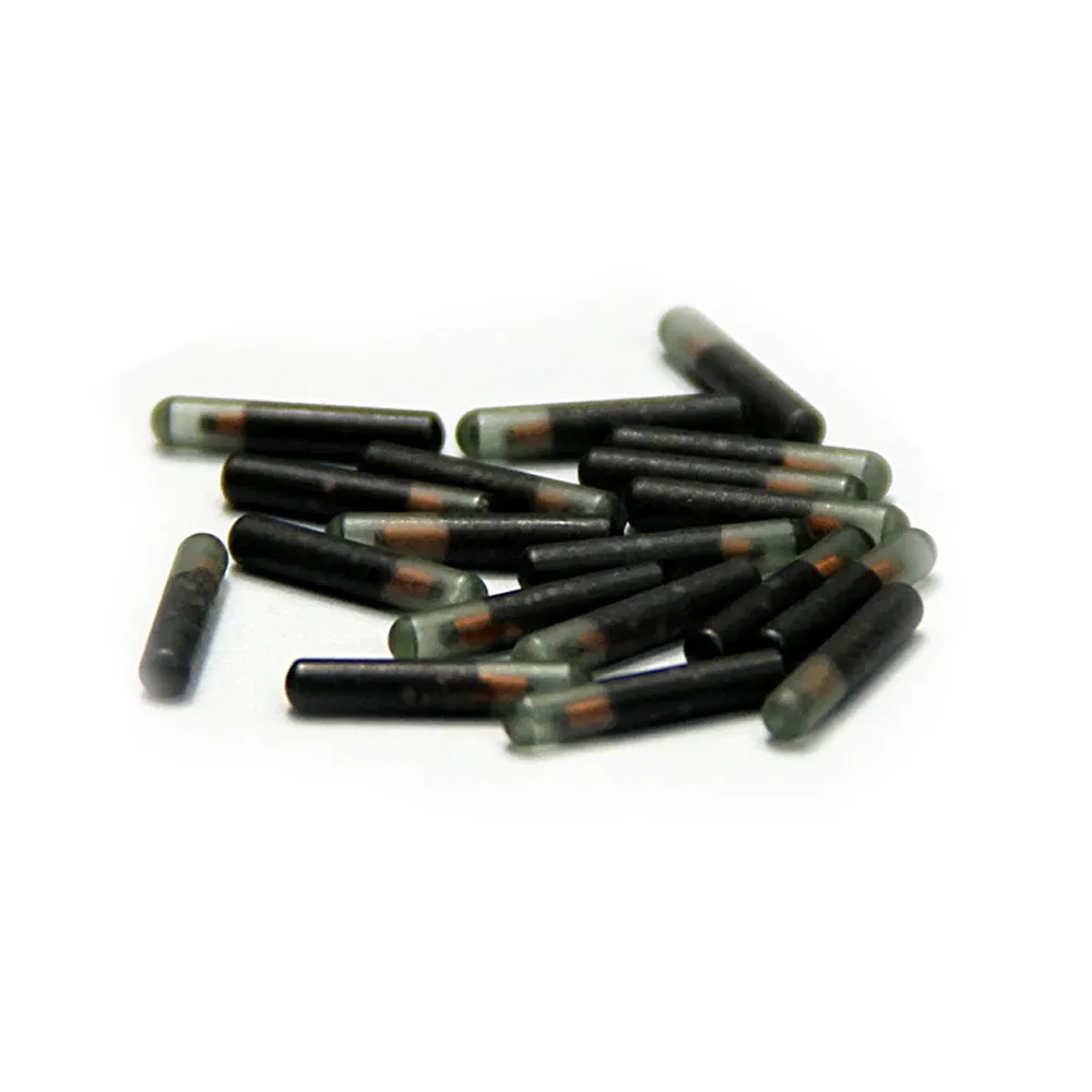 kf Sd55fd2e95a3349c2a59eaf495f8c6adcQ