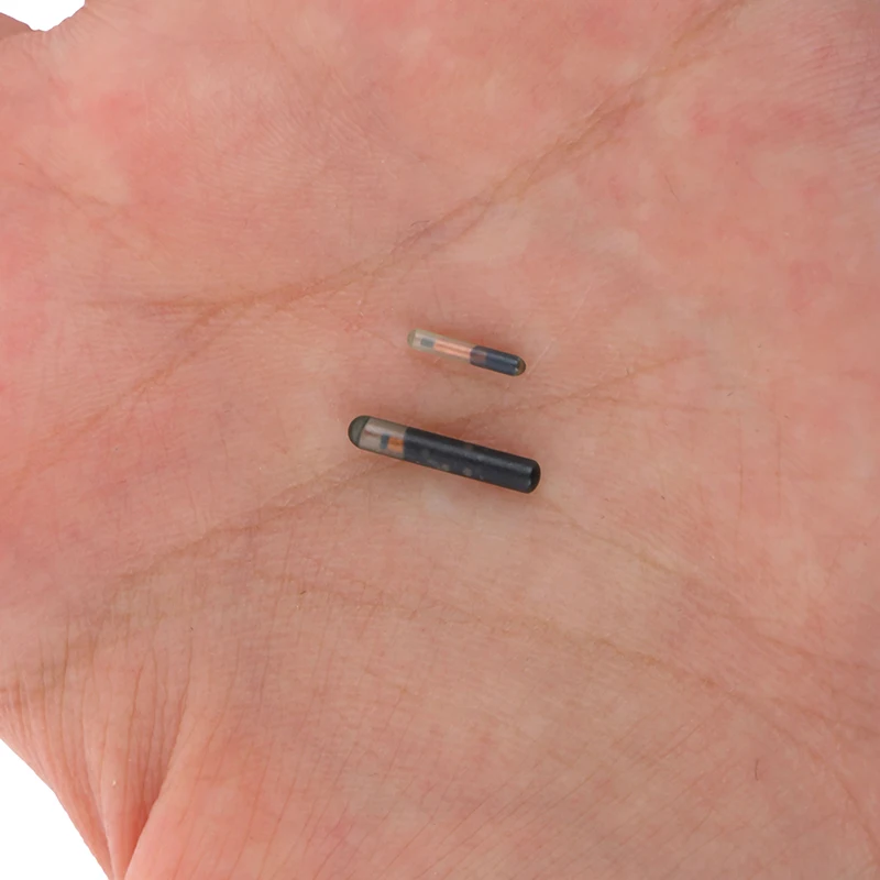 Rfid Microchip Animal Id Mini Iso Compliant Pet Cat Dog Transponder Tag With Em4305 Chip For Identification Implant 134.2Khz 7 kf Sde6142d6d9e647d6a08897361128a4c0h