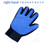 Blue Right