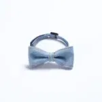 A Big bow