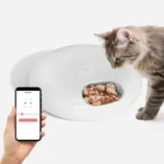 WiFI Feeder