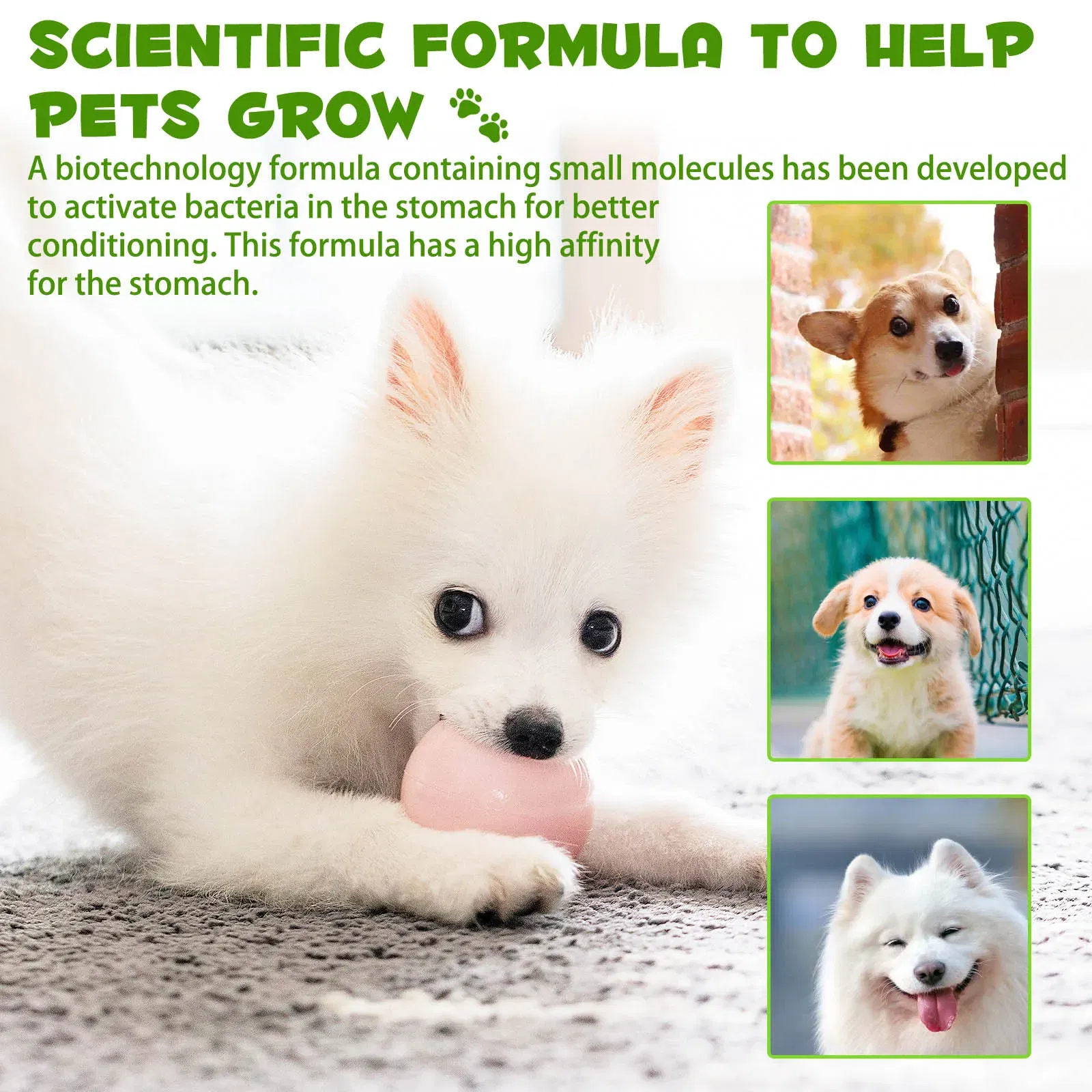 kf A1014b2a6faeb4280a20a66f36520d701R