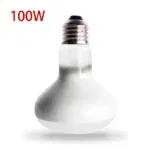 100W