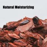 450G Reusable Reptile Box Bark Material Tortoise Snake Lizard Chameleon Terrarium Forest Surface Moisturizing Mats Deodorant 2 kf H11891adbdc9a4f6eadcd84b80041fadd1