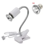 75W and white holder