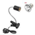 50W and black holder