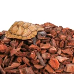 450G Reusable Reptile Box Bark Material Tortoise Snake Lizard Chameleon Terrarium Forest Surface Moisturizing Mats Deodorant 4 kf Ha677e47281f3475abf3fd0fb6a648048o