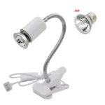 50W and white holder