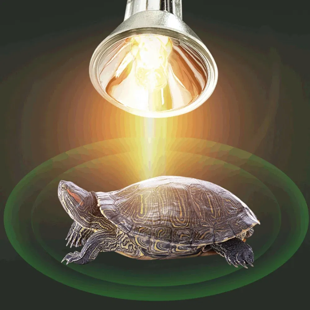 25/50W Uva+Uvb 3.0 Reptile Lamp Pet Amphibians Lizards Heating Bulb Turtle Tortoise Basking Lamp E27 Heating Light Full Spectrum 7 kf Hb96664f511524dfdb8f4457955e69ef1E