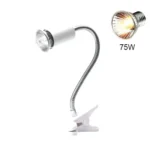 holder and 75W