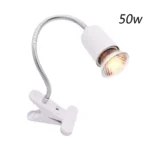 White holder and 50w