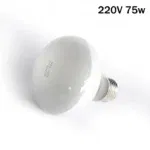 220V 75w