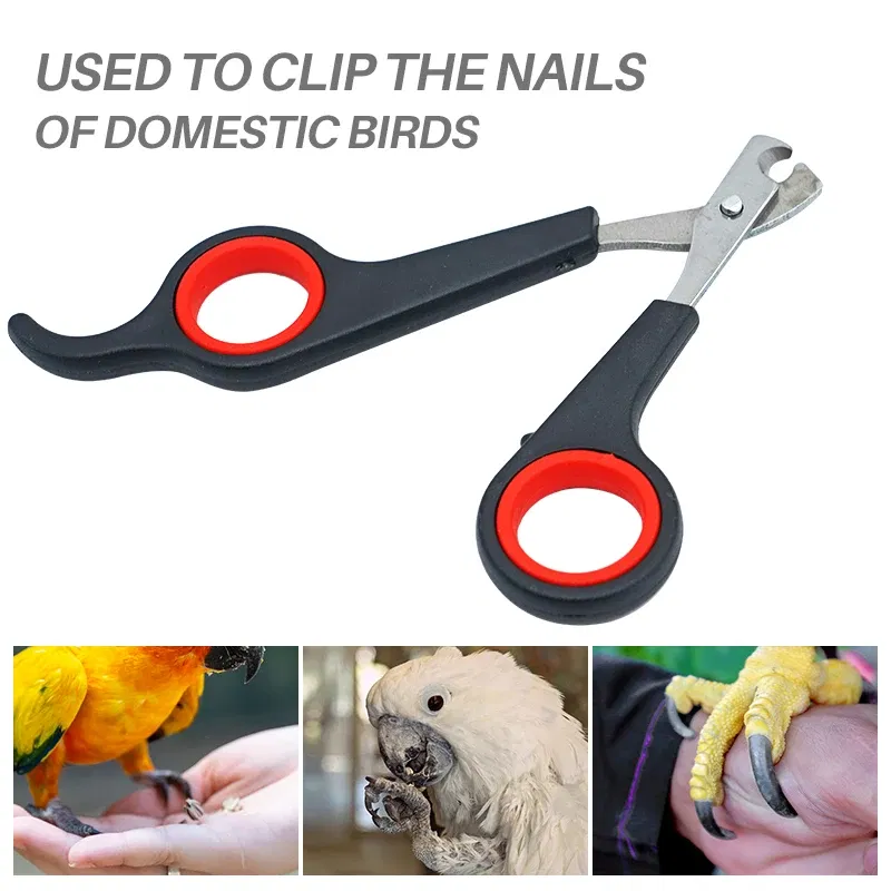 kf S0b790a416e03479a9ec66328a2ee414f6