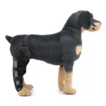 New right hind leg