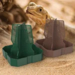 1 Cricket, Dubia Cockroach, Live Food, Climbing Predation Dish, Lizard, Frog Feeding Basin 15 kf S0e9e0edc723943f2b1d859b81d1c1714n