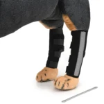 Back knee pads 5