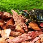 Climbing Pet Pine Bark Mat For Moisturizing And Deodorizing, Suitable For Reptiles Such As Land Turtles, Lizards, Snakes, Forest 12 kf S145f6b964e6141e68798a6c234a390697