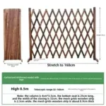 Height 50cm