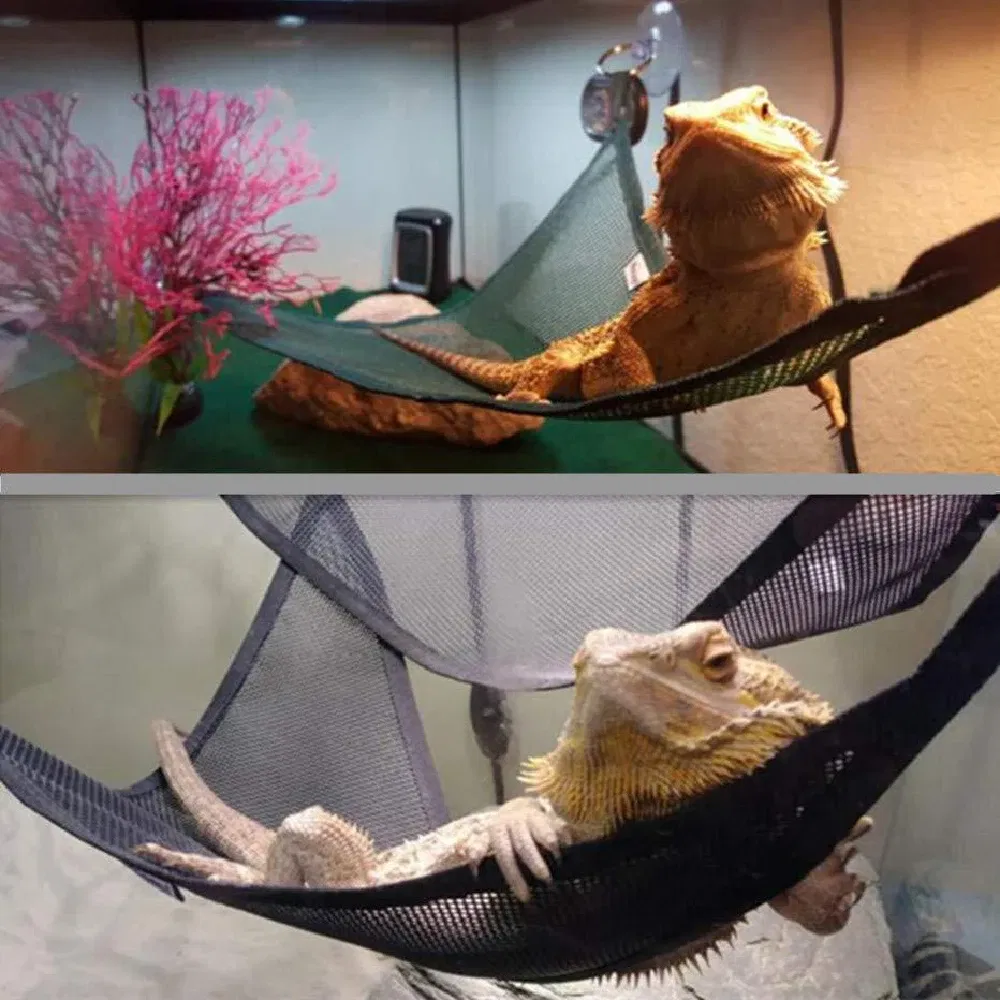 1Pc Bearded Dragon Hammock Lizard Ladder Hanging Swing Toys With Suction Cups For Lizard Snake Chameleon Reptile Habitat Decors 19 kf S1b7b8062b2b14a5b9de1d37c9e48fe16E