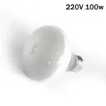 220V 100w