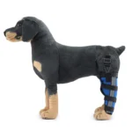 New left hind leg 3